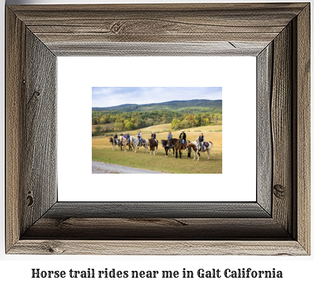 horse trail rides near me in Galt, California